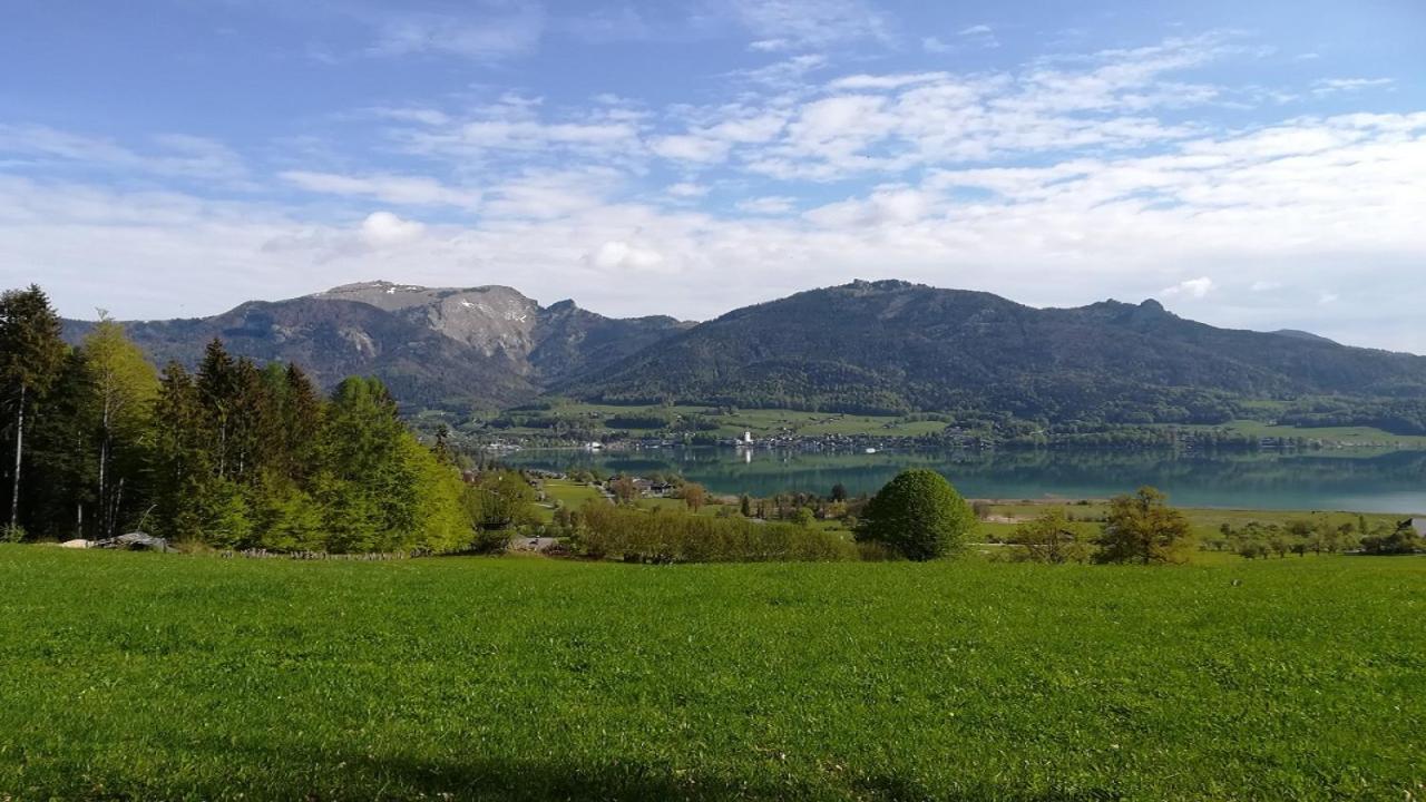 Apartment Appartementhaus Grill Strobl