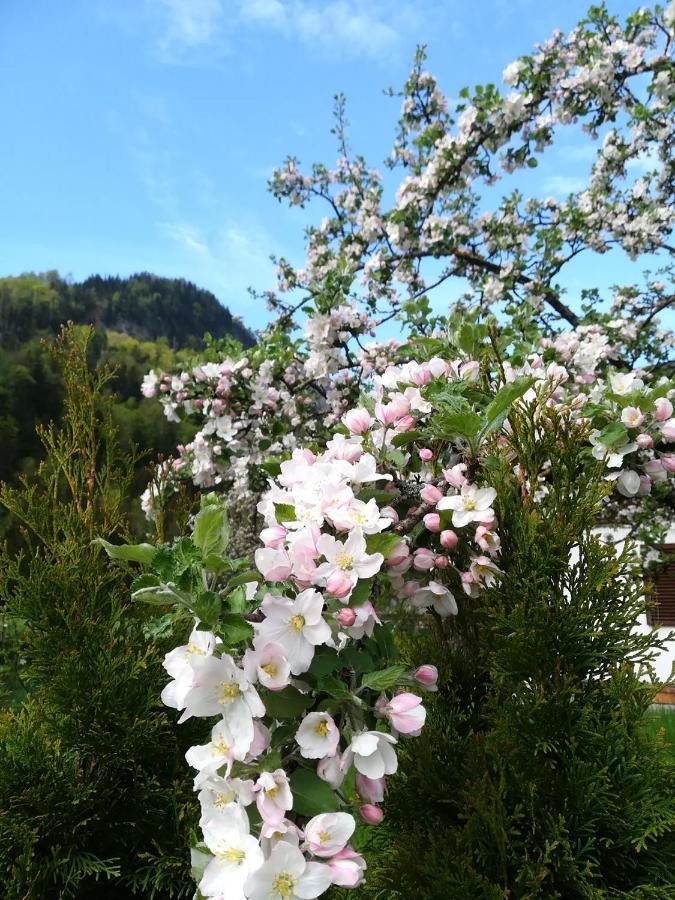 Appartementhaus Grill Apartment Strobl